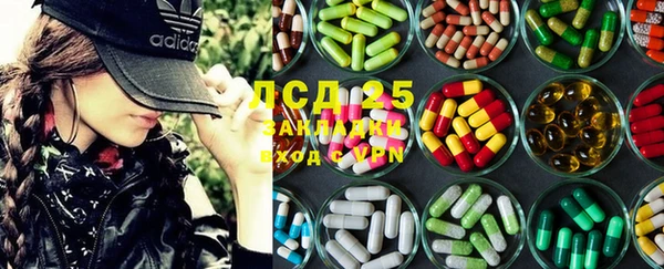 PSILOCYBIN Алзамай