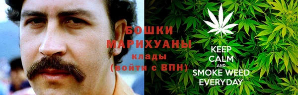 PSILOCYBIN Алзамай
