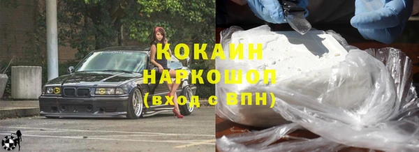 PSILOCYBIN Алзамай