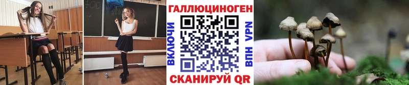 Псилоцибиновые грибы прущие грибы  Купить закладки  Гаврилов Посад 